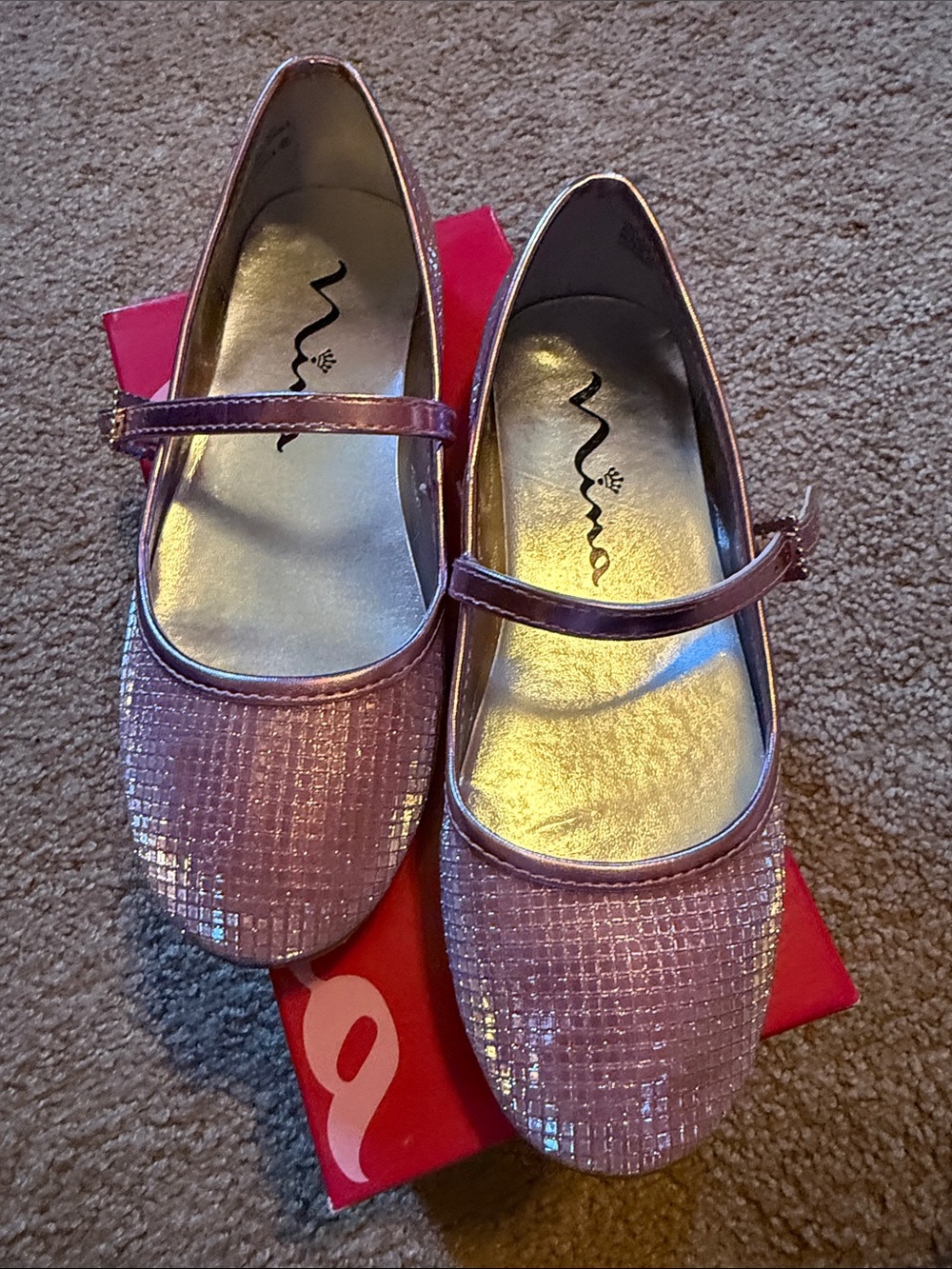 Nina Metallic Pink Mary Jane Dress Shoes